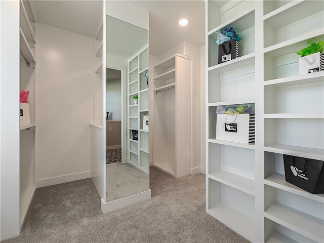 spacious closet with light colored carpet