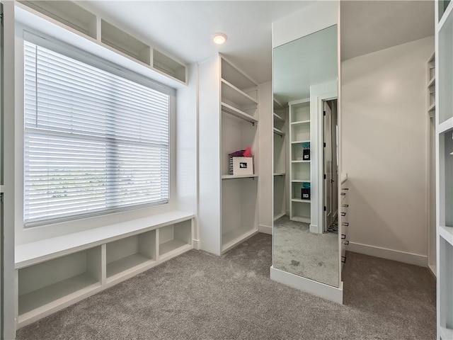 spacious closet with dark colored carpet