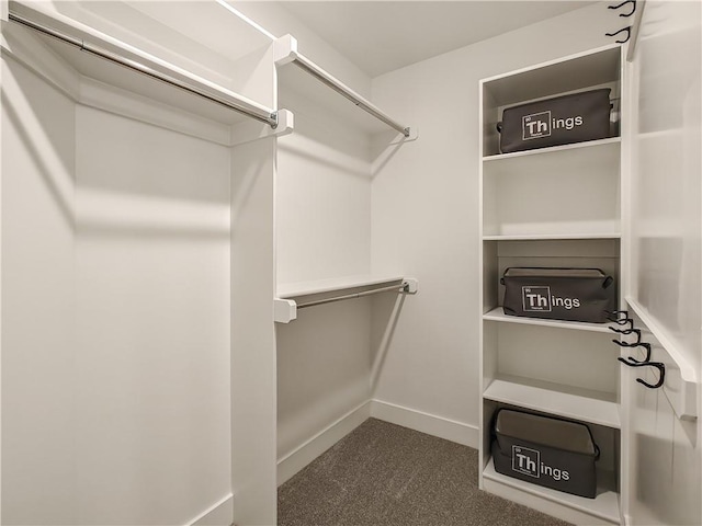 spacious closet with dark colored carpet