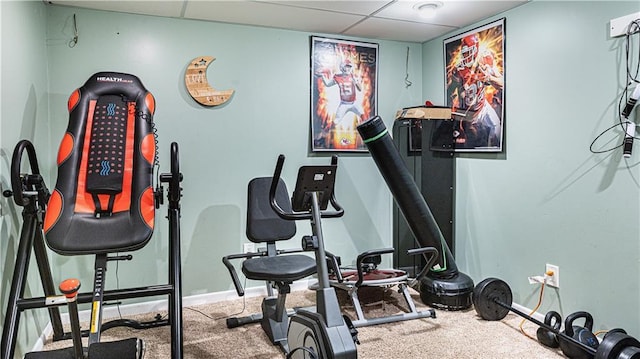 exercise room featuring carpet and a drop ceiling