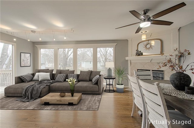 living room featuring light wood finished floors, a fireplace, track lighting, and a wealth of natural light