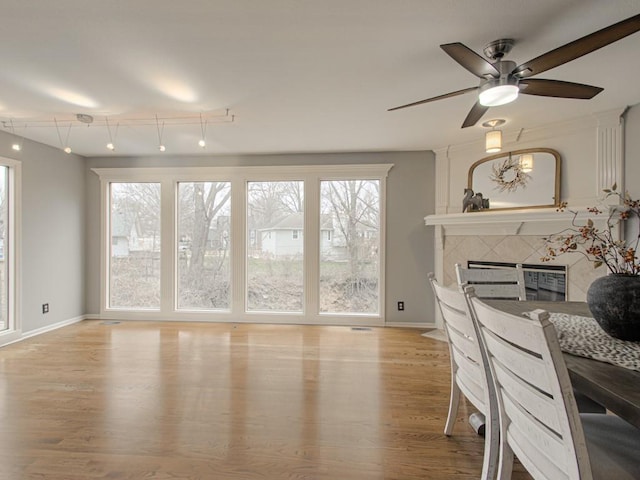 interior space featuring a healthy amount of sunlight, light wood-style floors, baseboards, and a tiled fireplace