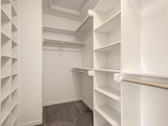 spacious closet with dark carpet