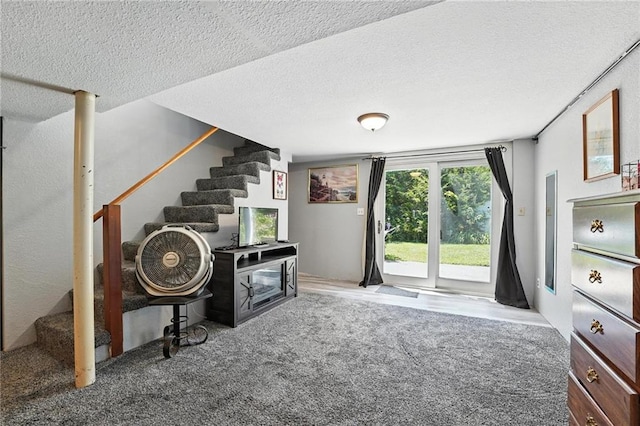 746 Salem Rd, Excelsior Springs, MO 64024 - home office with a textured ceiling and carpet floors