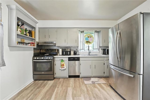 746 Salem Rd, Excelsior Springs, MO 64024 - kitchen featuring appliances with stainless steel finishes, under cabinet range hood, light wood-style floors, and light countertops