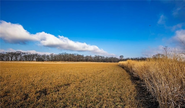 view of local wilderness with a rural view