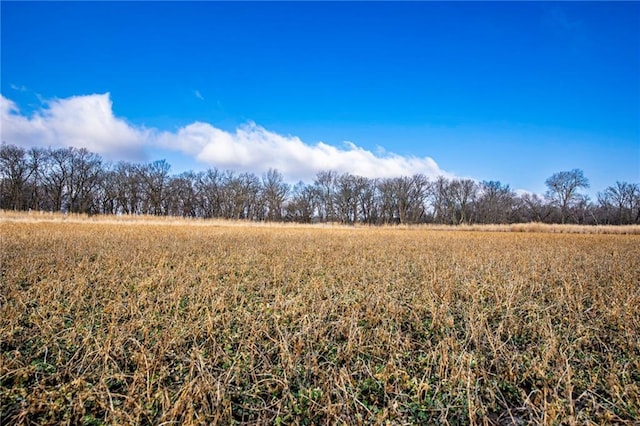 view of landscape with a rural view