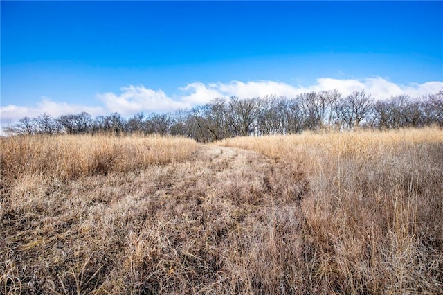 view of local wilderness with a rural view