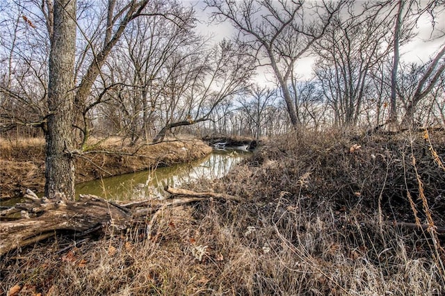 view of nature