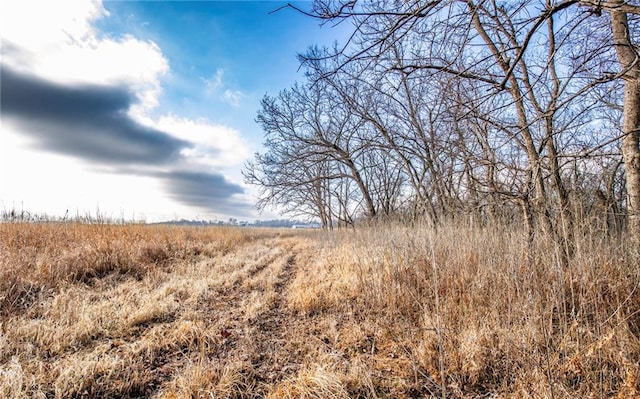 view of landscape featuring a rural view