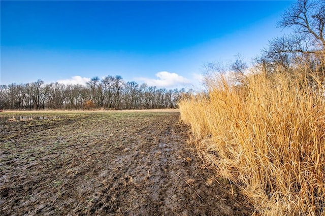 view of landscape featuring a rural view