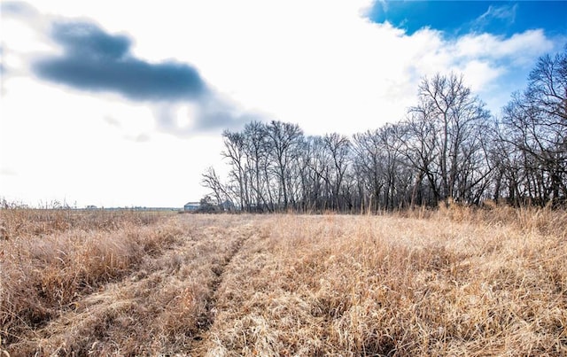 view of local wilderness featuring a rural view