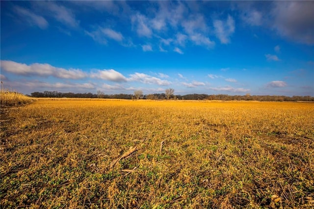 view of local wilderness with a rural view