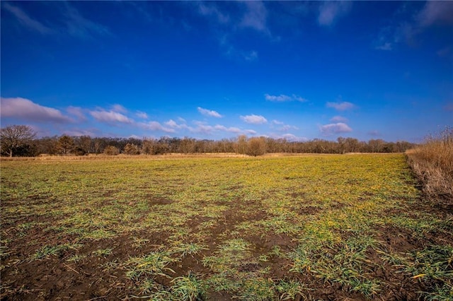 view of nature with a rural view