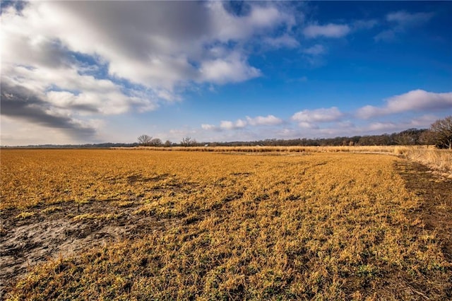 view of landscape with a rural view