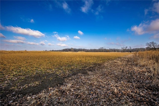 view of local wilderness featuring a rural view