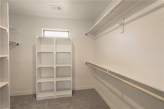2327 Fishing Ln, Kearney, MO 64060 - walk in closet featuring carpet floors