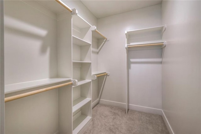 spacious closet featuring light colored carpet