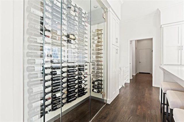 wine room with crown molding, baseboards, and dark wood-type flooring