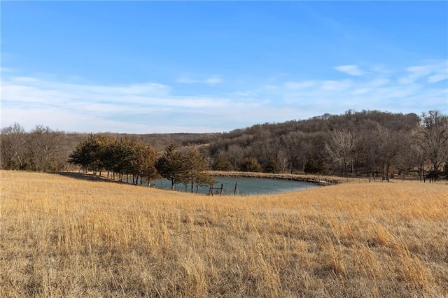 view of local wilderness with a forest view and a water view