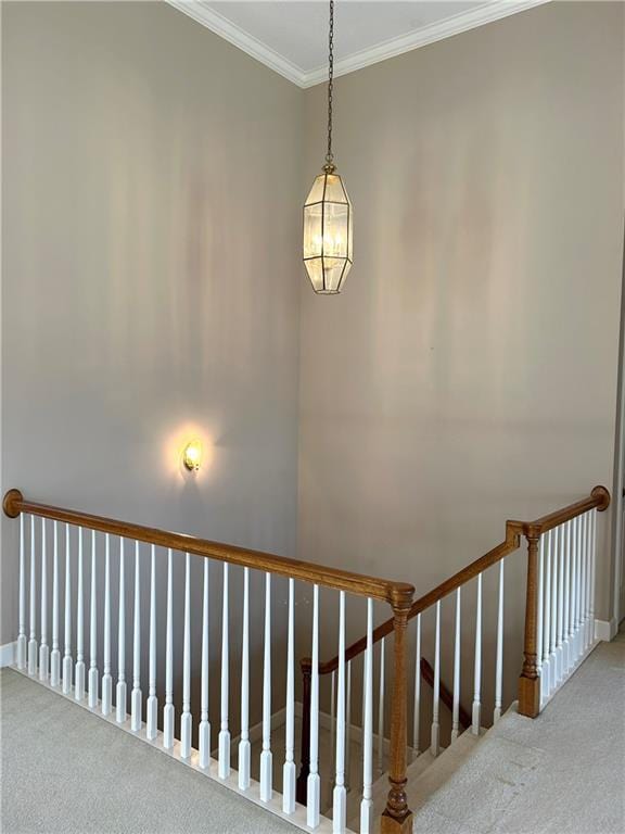 stairway with carpet and ornamental molding