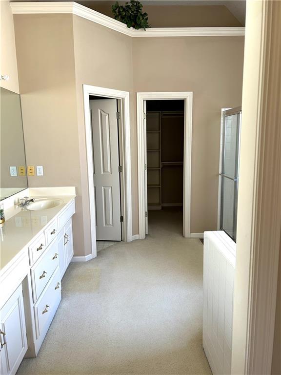 bathroom featuring vanity, radiator heating unit, baseboards, and a shower with shower door