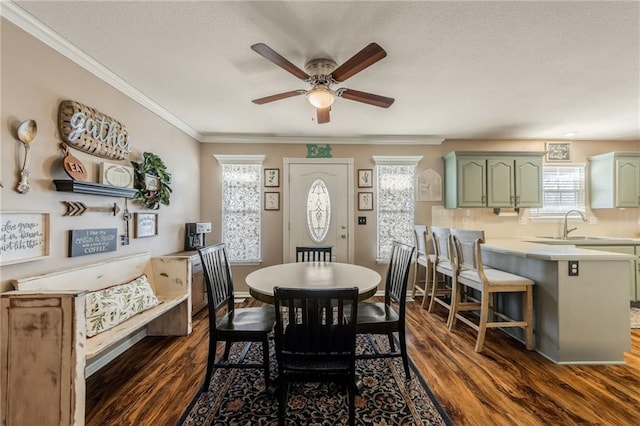 dining room featuring ornamental molding, dark wood finished floors, and a wealth of natural light