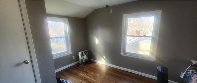 interior space with dark wood-type flooring, vaulted ceiling, and a wealth of natural light