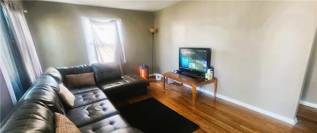 living room featuring hardwood / wood-style flooring