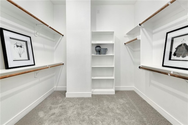 spacious closet featuring light carpet