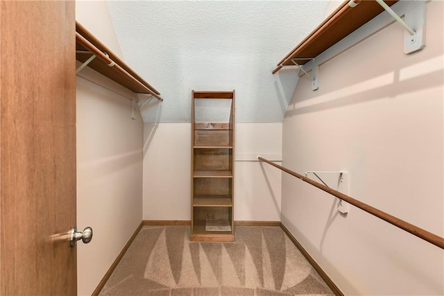 spacious closet with carpet floors