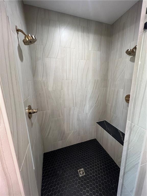 2209 W 176th Pl, Overland Park, KS 66085 - full bathroom with a tile shower