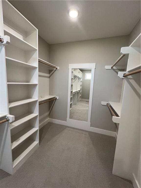 2209 W 176th Pl, Overland Park, KS 66085 - walk in closet featuring carpet flooring