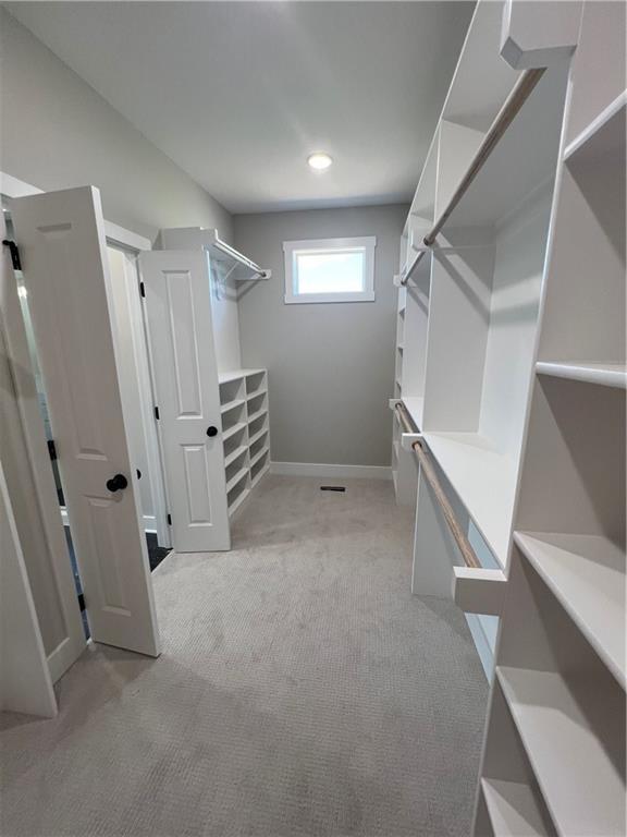 2209 W 176th Pl, Overland Park, KS 66085 - walk in closet with light carpet