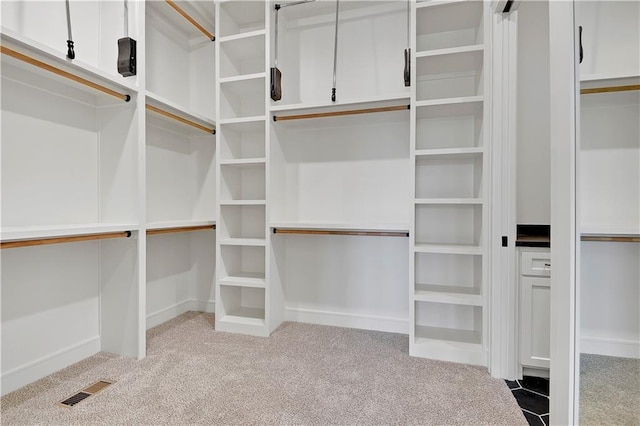 24909 W 98th Pl, Lenexa, KS 66227 - walk in closet with carpet flooring