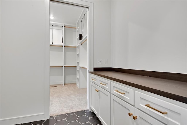 24909 W 98th Pl, Lenexa, KS 66227 - walk in closet with dark colored carpet and dark tile patterned flooring