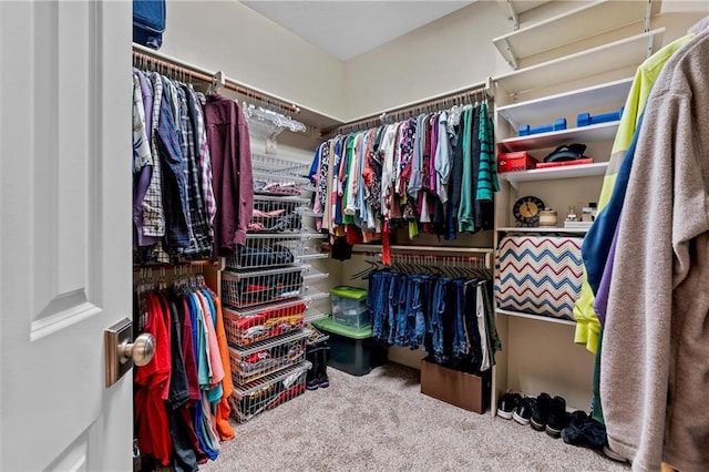 walk in closet with carpet flooring