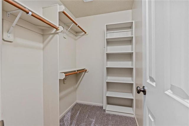 walk in closet with carpet flooring