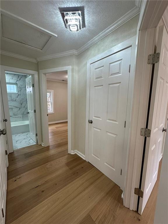 corridor with light hardwood / wood-style flooring, ornamental molding, and a textured ceiling