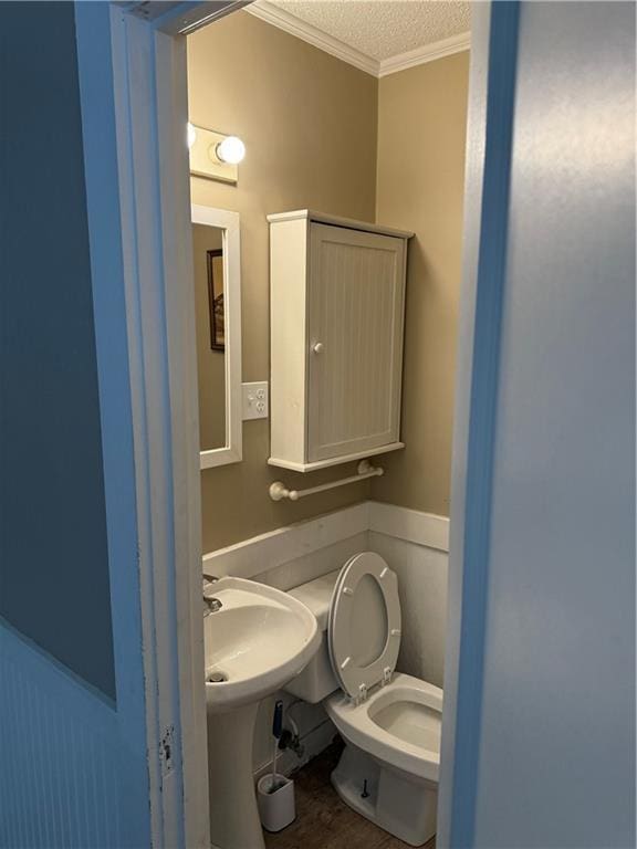 bathroom with crown molding, a textured ceiling, and toilet