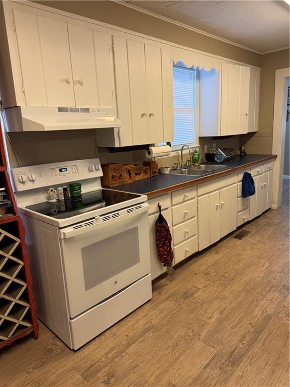 kitchen with white cabinetry, sink, and electric stove