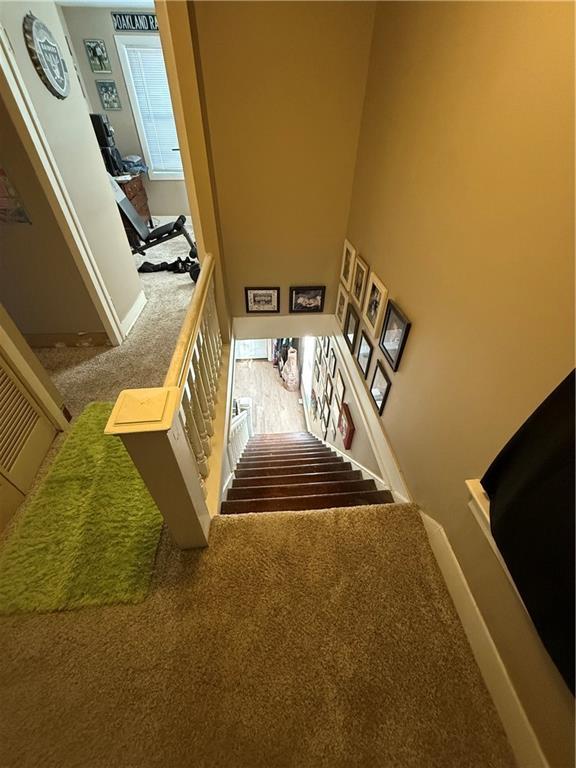 staircase with carpet floors