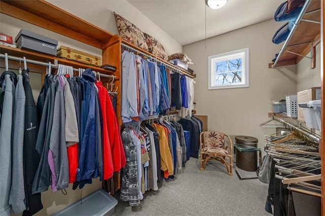 walk in closet with carpet floors