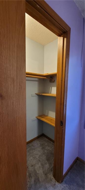 view of closet