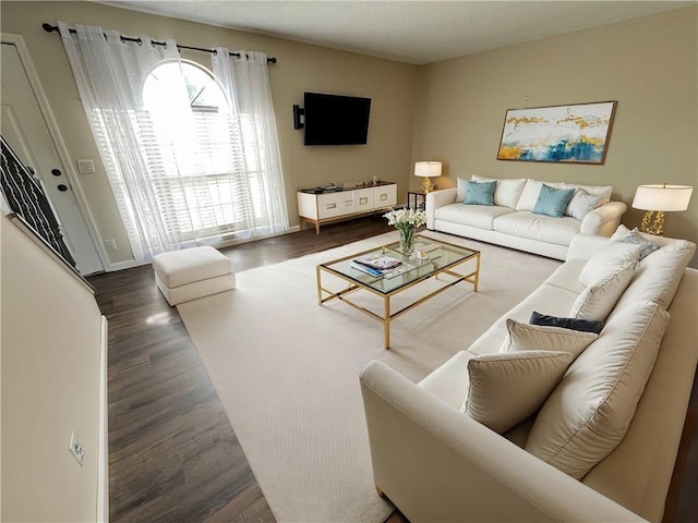 living room featuring dark wood-type flooring