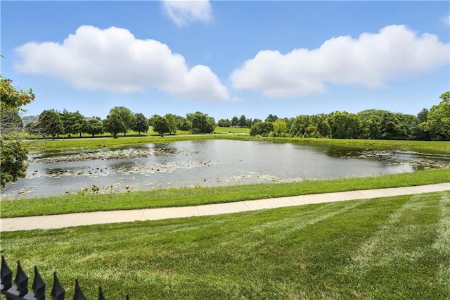 8075 Green Glades Ct, Parkville, MO 64152 - photo 77