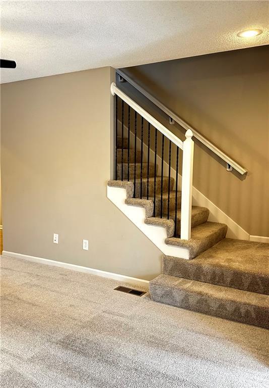 stairway featuring carpet and a textured ceiling