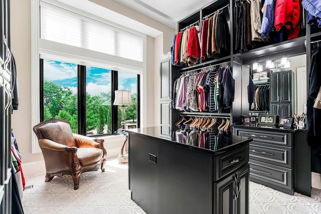 view of spacious closet