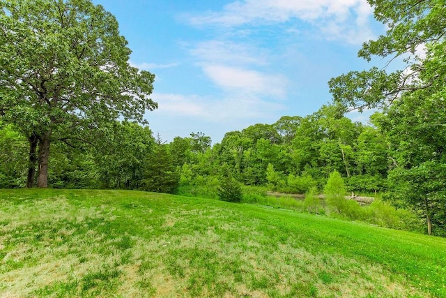 view of yard featuring a view of trees