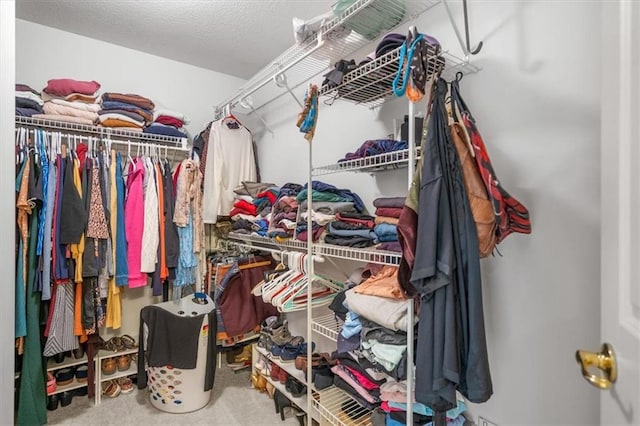 walk in closet with carpet flooring